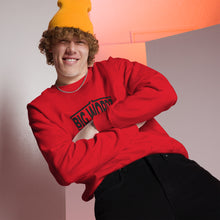 Load image into Gallery viewer, Big Wordz Sweater